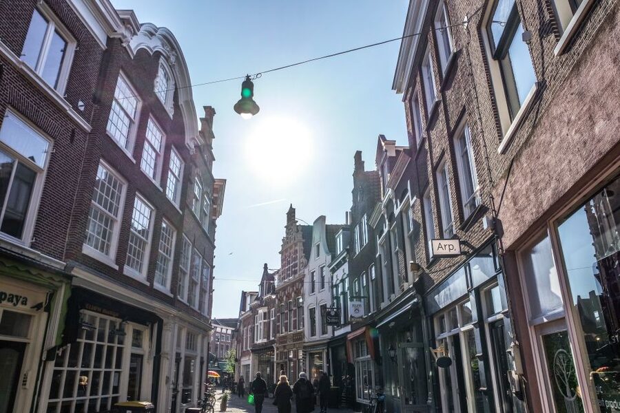 Haarlem: City Highlights Walking Tour - A 2-hour Haarlem orientation that walks the right streets