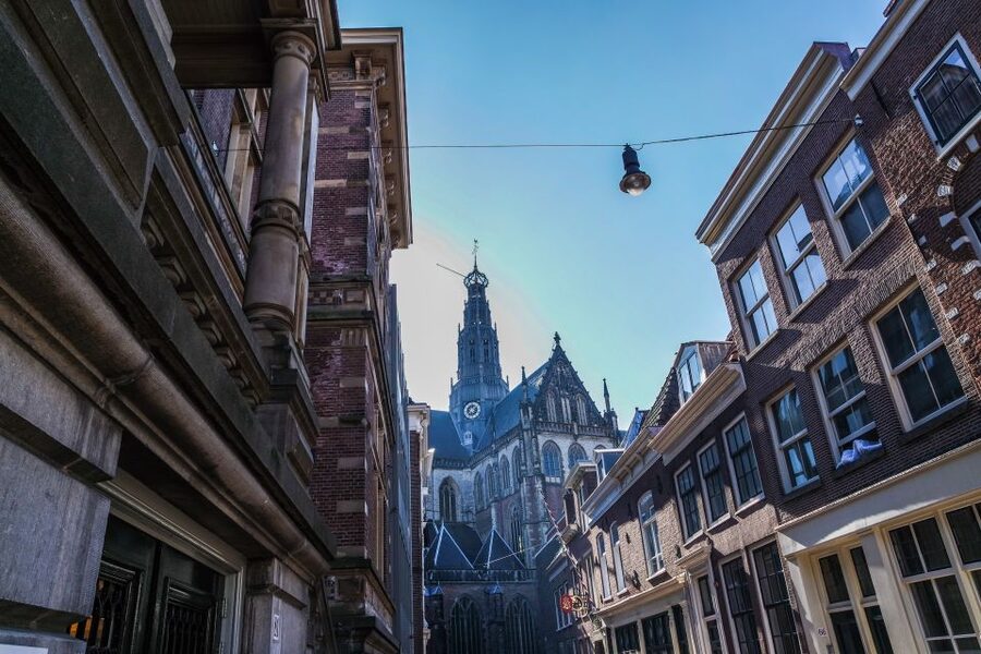 Haarlem: City Highlights Walking Tour - Teylers Museum area pass: a quick taste of Haarlem’s learning culture
