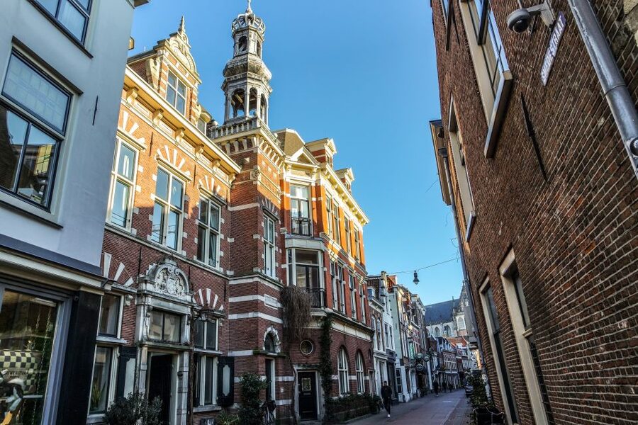 Haarlem: City Highlights Walking Tour - Windmill De Adriaan and Haarlem’s beer and tulip threads
