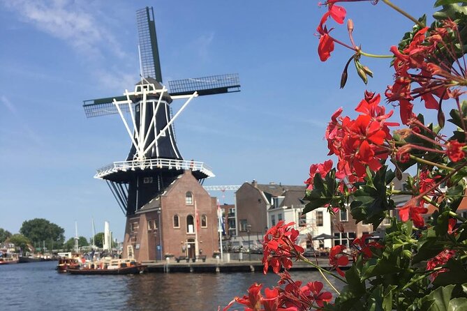 Haarlem Old Town Private Walking Tour - A private walk that makes Haarlem feel like a story