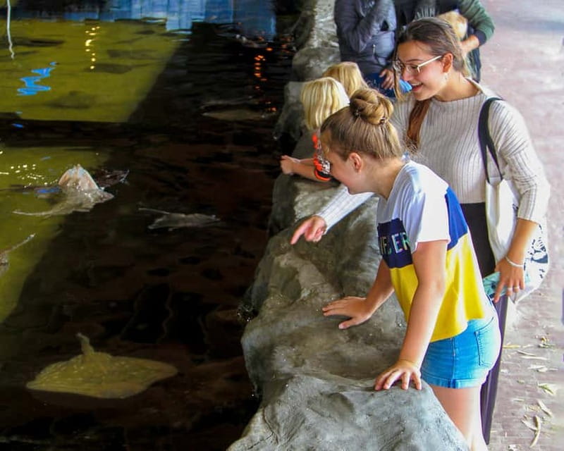 Harderwijk: Dolfinarium Entry Ticket - Price and Value: Is About $28 a Fair Deal?