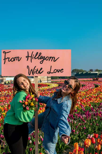 Hillegom: Tulip Barn Entry Ticket - Parking, getting there, and making this a smooth day trip