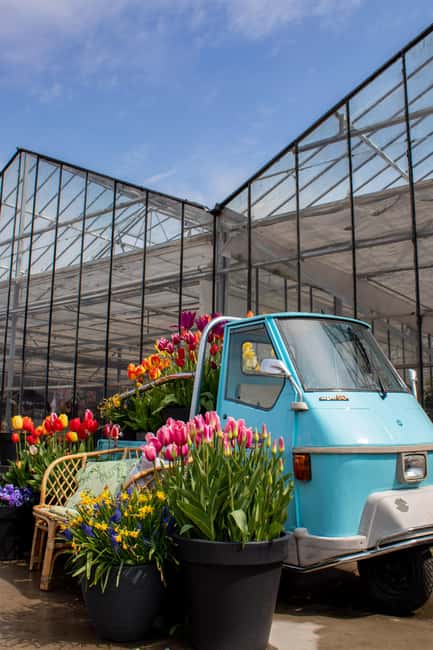 Hillegom: Tulip Barn Entry Ticket - Is it crowded? How to time your visit for better flow