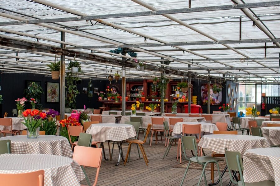 Hillegom: Tulip Barn Entry Ticket - Wheelchair accessible, and how to think about mobility in a tulip field