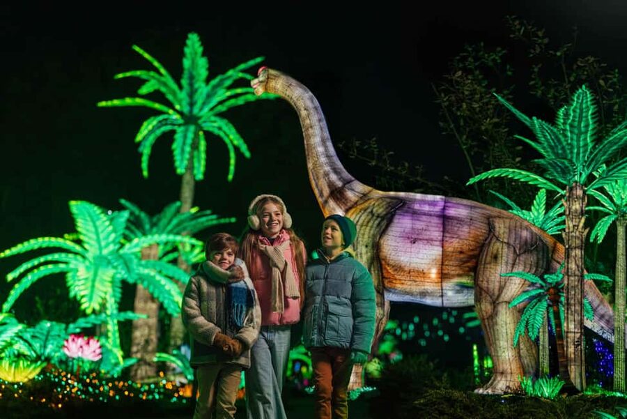 Hilvarenbeek: Light Safari at Beekse Bergen - Key Highlights to Look For