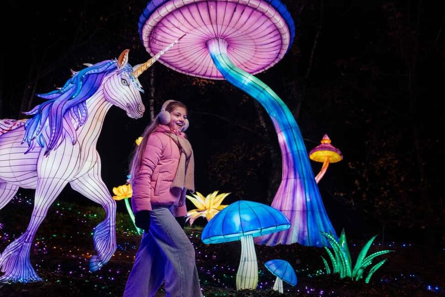 Hilvarenbeek: Light Safari at Beekse Bergen - 5,000 Luminous Animals, Flowers, and Plants: The Main Show