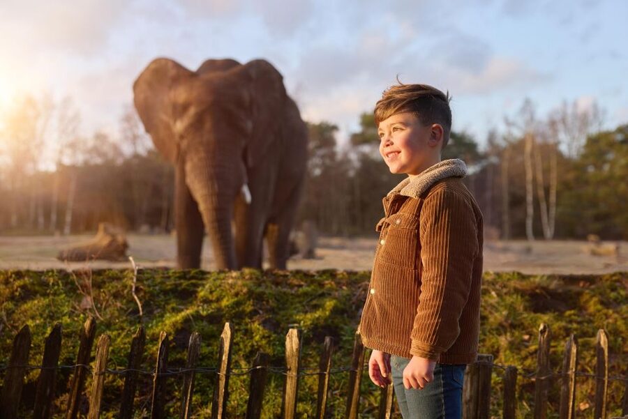 Hilvarenbeek: Safaripark Beekse Bergen Entry Ticket - Safaripark Beekse Bergen in Hilvarenbeek: a big, animal-first day