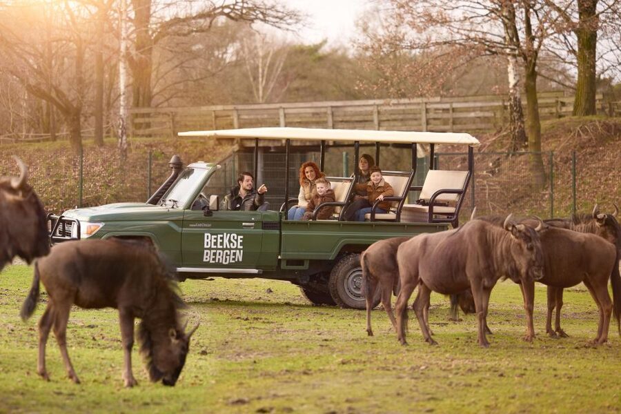 Hilvarenbeek: Safaripark Beekse Bergen Entry Ticket - What animals you can realistically plan to see