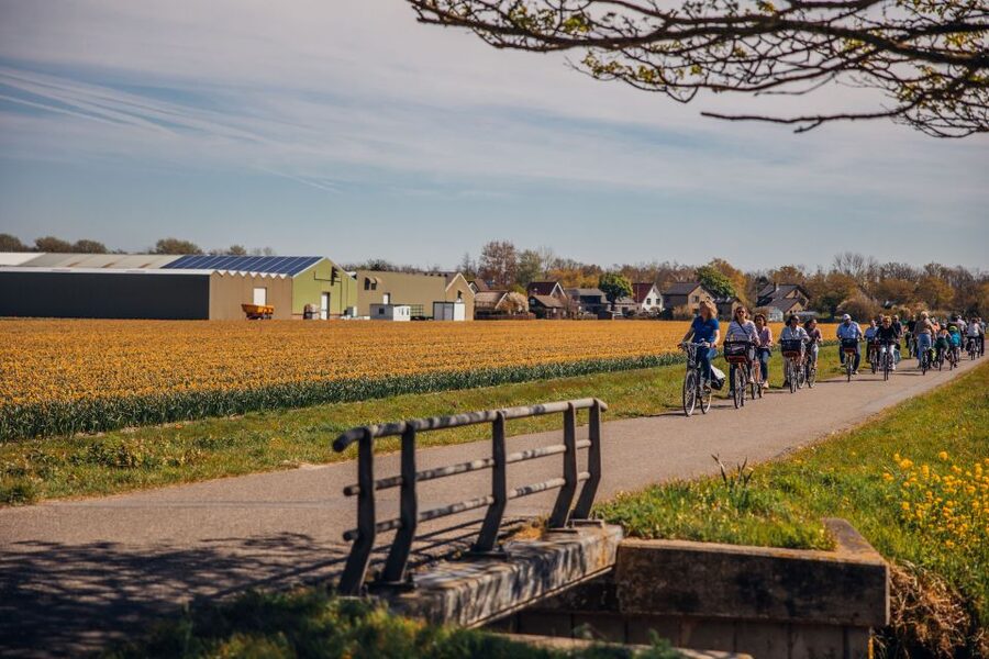 Keukenhof: Flower Fields Small-Group Cultural Bike Tour - The ride itself: small-group pace on Dutch cycling roads