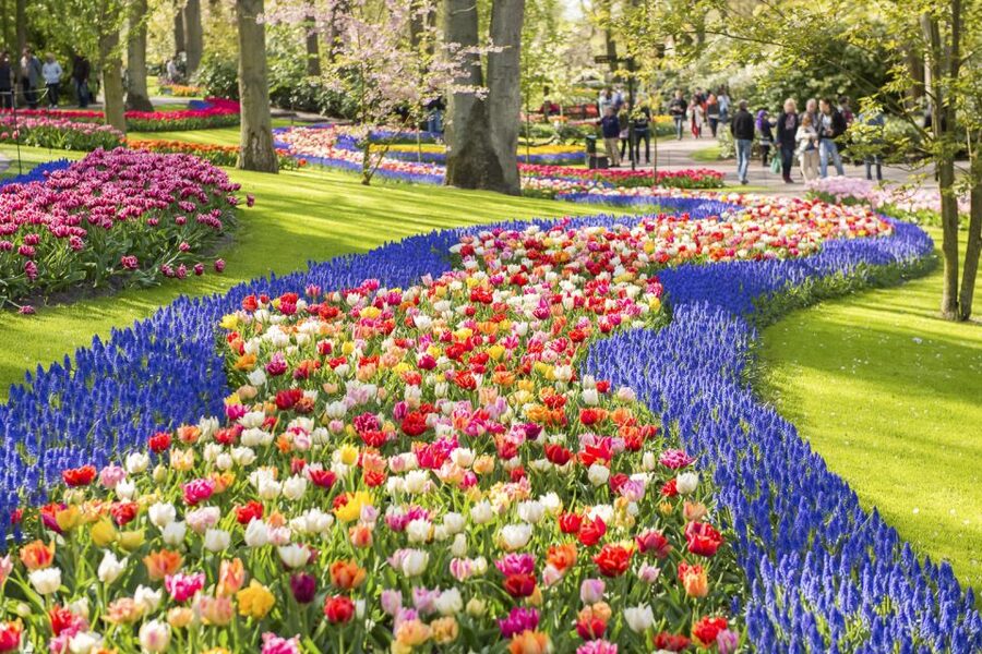 Keukenhof: Flower Fields Small-Group Cultural Bike Tour - When this tour is your best move