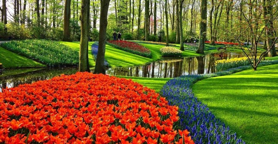 Keukenhof Gardens and Tulip Experience Tour from Amsterdam - The Tulip Experience museum: where the bulb becomes a story