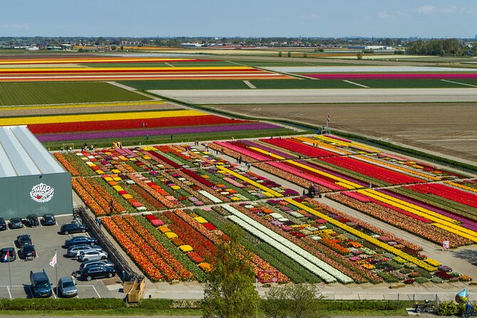 Keukenhof Gardens and Tulips Private Tour from Amsterdam - A Private, Skip-Line Keukenhof Day From Amsterdam