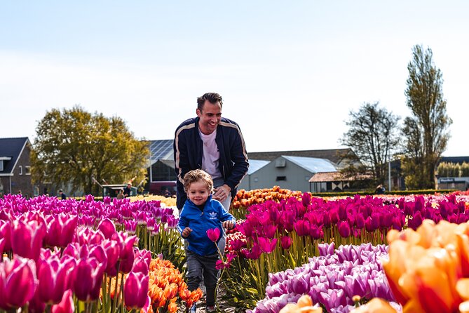 Keukenhof Gardens and Tulips Private Tour from Amsterdam - Tulip Experience Amsterdam: From Bulbs’ Global Story to a 1 Million Tulip Garden