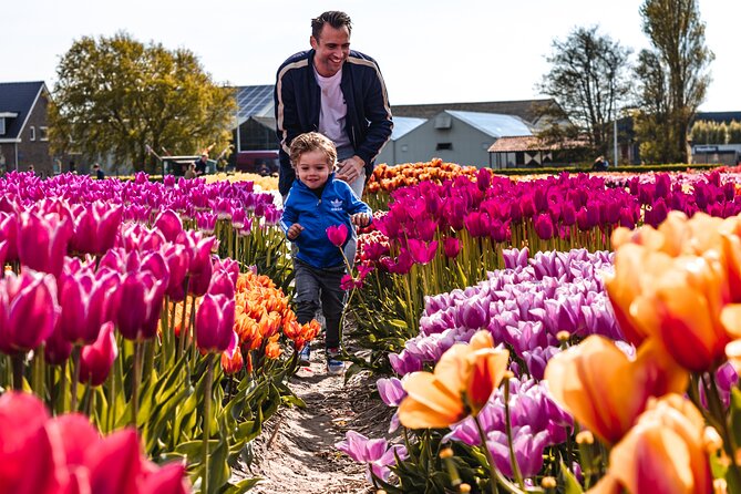 Keukenhof Gardens & Tulip Experience Tour from Amsterdam - Stop 1: Tulip Experience Amsterdam, indoor museum and a free-walk show garden