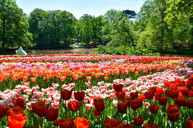 Keukenhof Gardens & Tulip Experience Tour from Amsterdam - Optional add-on: canal cruise voucher from near Central Station