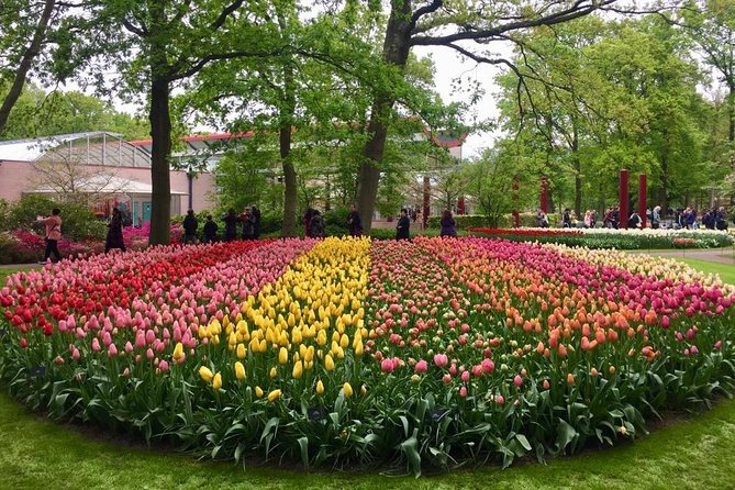 Keukenhof's Tulips and Windmills Small-Group Tour from Amsterdam - Clogs at the wooden shoe workshop: a quick hit with great photo moments