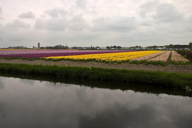 Keukenhof's Tulips and Windmills Small-Group Tour from Amsterdam - Molen De Kat: a working windmill visit with a climb