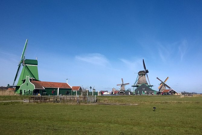 Keukenhof's Tulips and Windmills Small-Group Tour from Amsterdam - Price and value: is $133.08 a fair deal for a full Dutch day?