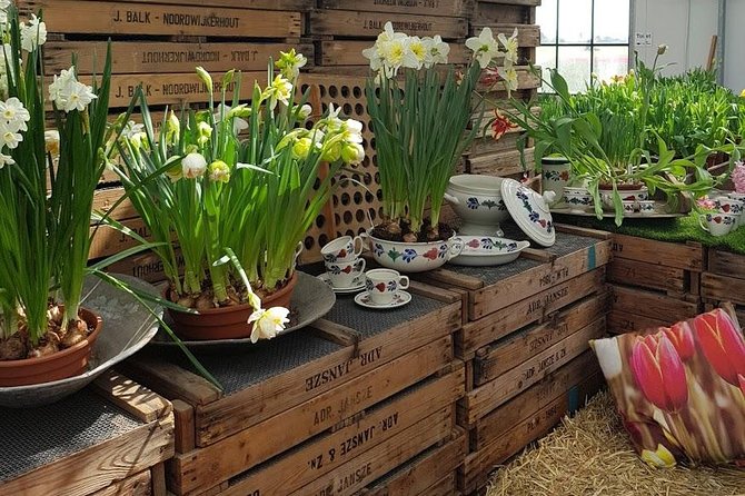 Keukenhof Skip-the-line Tickets: Countryside & Farm Private Tour - A Private Mercedes Route Through Dutch Flower Country
