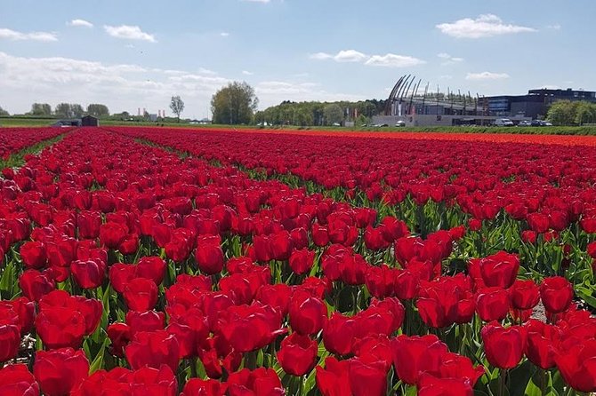 Keukenhof Skip-the-line Tickets: Countryside & Farm Private Tour - Haven Volendam, a Fishing Village Break by the Water