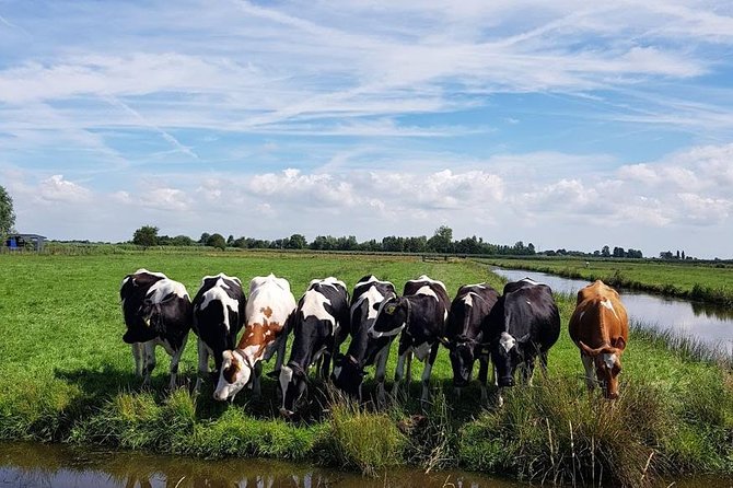 Keukenhof Skip-the-line Tickets: Countryside & Farm Private Tour - Price and Logistics, Is $548.47 Per Person Actually Good Value?