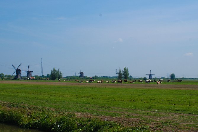 Kinderdijk Area Cycling Tour - Snack, Cheese, and a Coffee Break in Real Dutch Spots