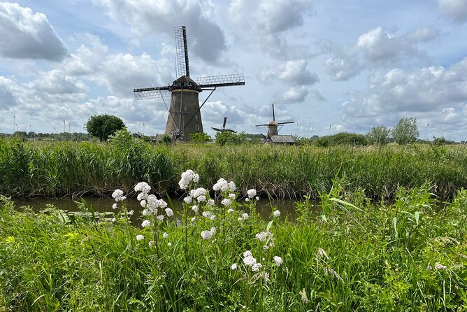Kinderdijk Windmills, Delft City & Delft Blue Factory Visit - How the day runs: a 10:00 AM start with private comfort