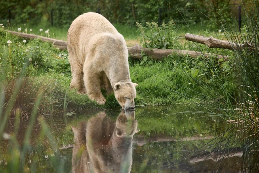 Leewarden: AquaZoo Entry Ticket - Key highlights you should plan for