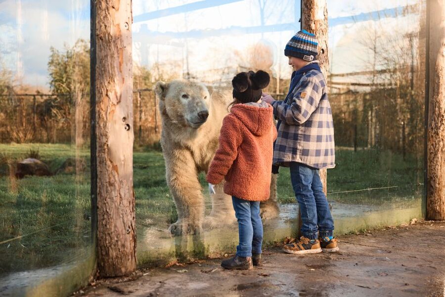 Leewarden: AquaZoo Entry Ticket - Red pandas plus Pere David’s deer: where the zoo gets thoughtful