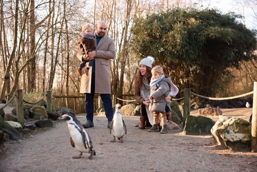 Leewarden: AquaZoo Entry Ticket - Price and value: is $23 for one day a fair deal?