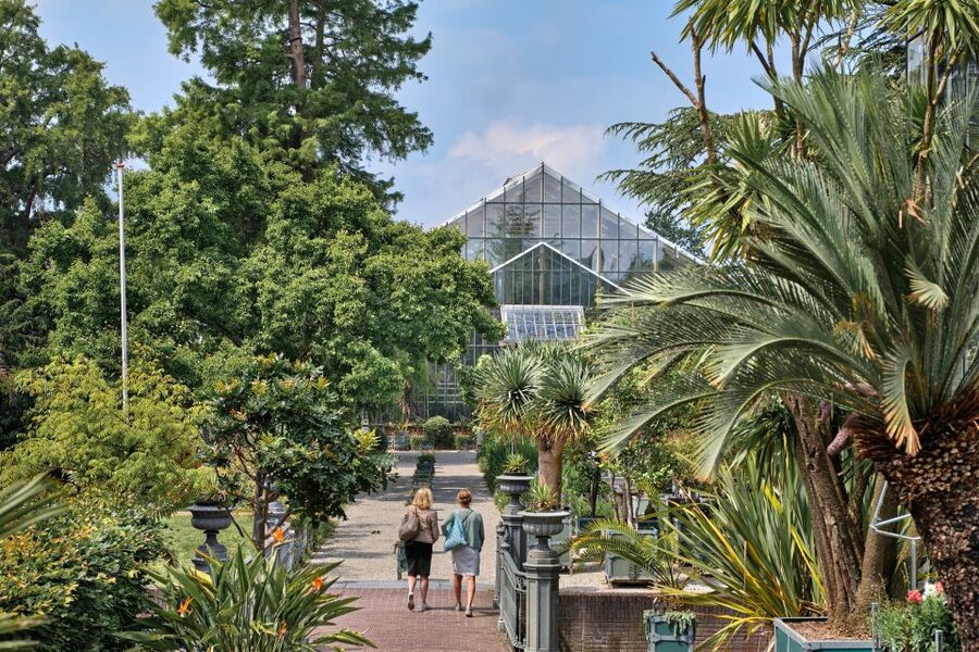 Leiden: Hortus botanicus Leiden Entry Ticket - Carnivorous plants and the seasonal plants worth timing your visit for