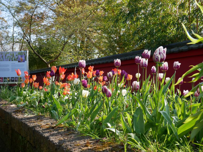 Leiden: Hortus botanicus Leiden Entry Ticket - Price and value: does $14 buy a meaningful garden visit?