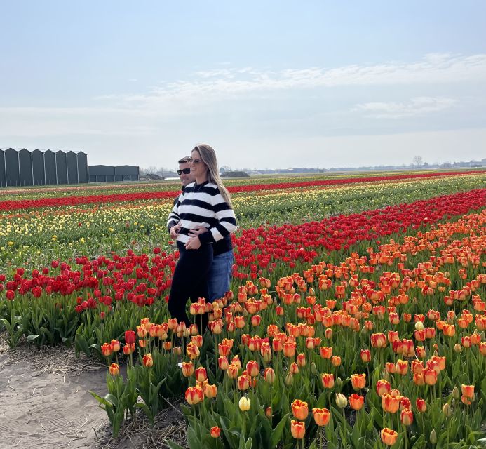 Lisse: Enjoy the Tulip Fields by Bike with a Local Guide! - Should you book this Lisse tulip bike tour?