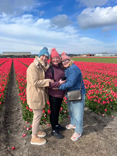 Lisse: Private Tulip Fields Tour with a Local Guide 1h Tour - Should you book the Lisse private tulip fields tour?