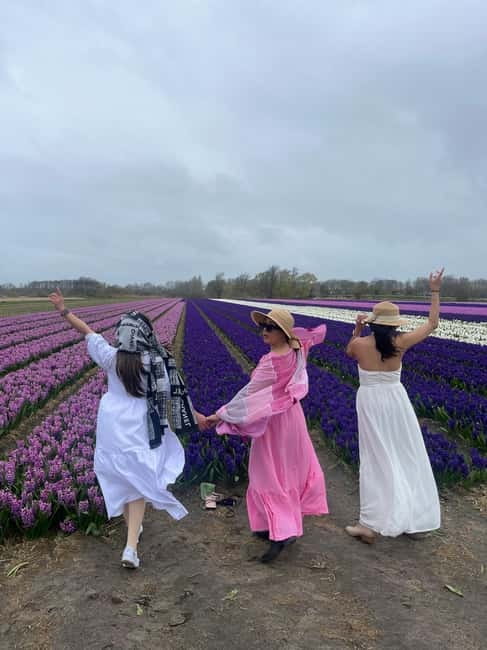 Lisse: Private Tulip Fields Tour with a Local Guide 1h Tour - How the 1-hour Lisse tulip tour flow works