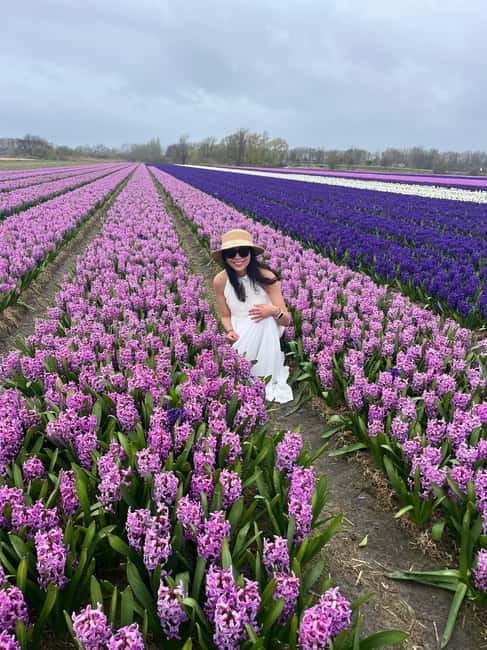 Lisse: Private Tulip Fields Tour with a Local Guide 1h Tour - Local guidance that goes beyond pointing