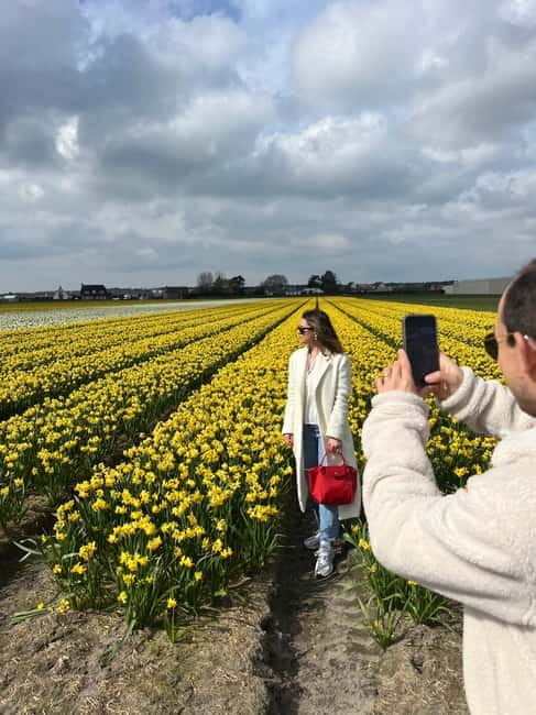 Lisse: Private Tulip Fields Tour with a Local Guide 1h Tour - Private car comfort, plus water and onboard WiFi
