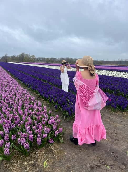 Lisse: Private Tulip Fields Tour with a Local Guide 1h Tour - Who this tour suits best