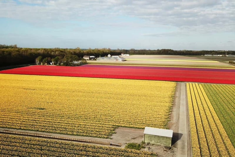 Lisse: Self-Guided Tulip Fields GPS Audio Tour - Key highlights at a glance