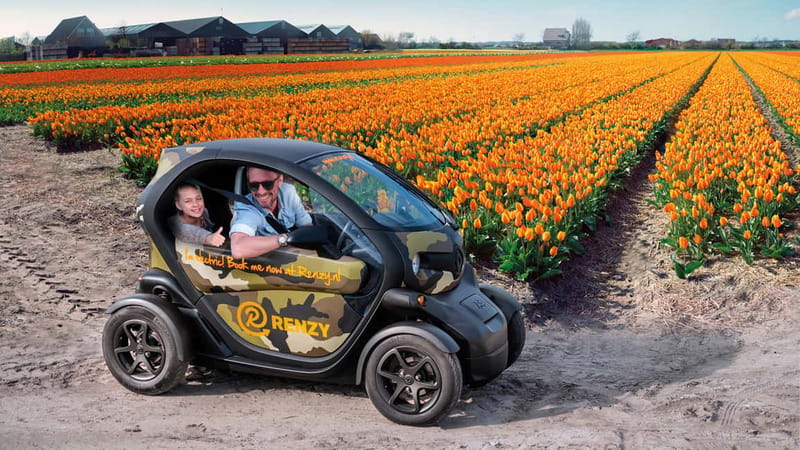 Lisse: Self-Guided Tulip Fields GPS Audio Tour - Tulip farm stop: what you’re actually visiting