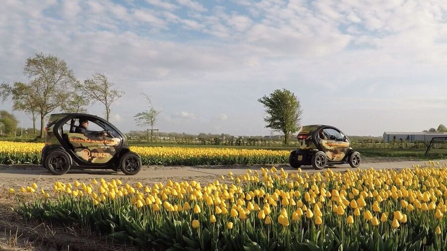 Lisse: Self-Guided Tulip Fields GPS Audio Tour - GPS audio guide: your tulip facts assistant