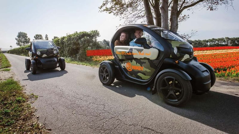 Lisse: Self-Guided Tulip Fields GPS Audio Tour - The Renault Twizy experience: small car, big fun