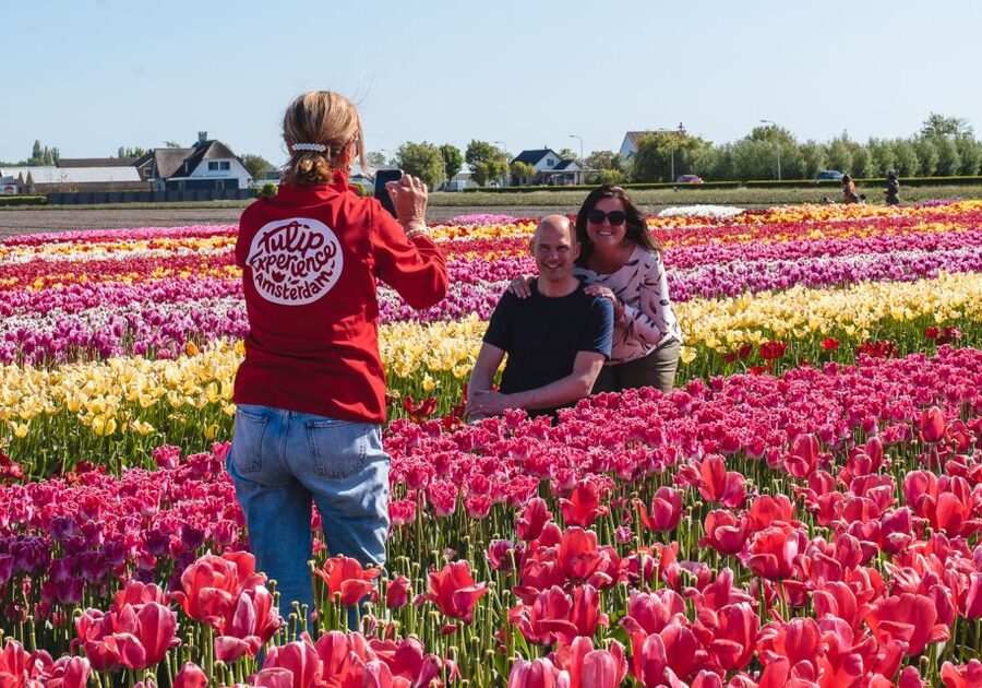 Lisse: Tulip Experience Ticket with Tulip Garden and Museum - The value play: $14 for garden time plus museum plus a take-home bunch