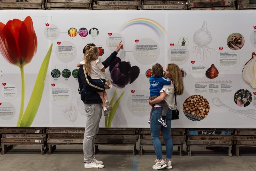 Lisse: Tulip Experience Ticket with Tulip Garden and Museum - Getting there: Delfweg 37, plus a simple public transport route from Amsterdam