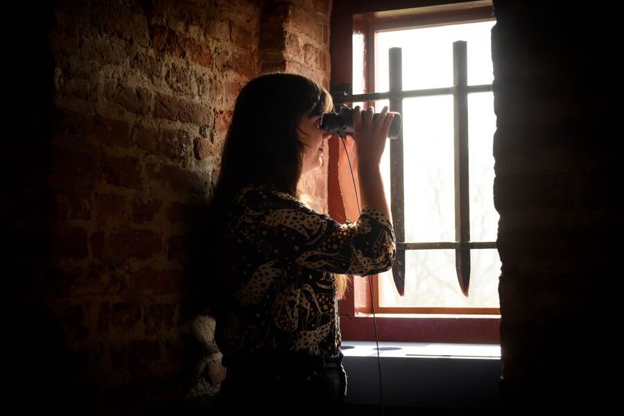 Loevestein Castle Entry Ticket - Key highlights to know before you go