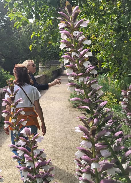 Maastricht Hidden Gems Tour Uncover the Unexpected - Sint Servaasbrug photo stop: your first Maas crossing moment