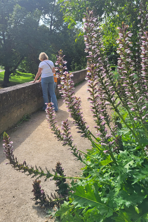 Maastricht Hidden Gems Tour Uncover the Unexpected - De Mestreechter Geis: learning the local spirit, not just the facts