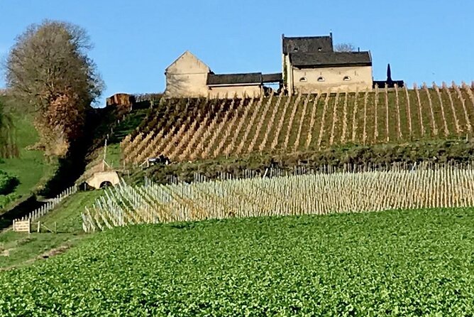 Maastricht Privat Sightseeing City Walk - What You’ll Actually See and Learn Between the Stops