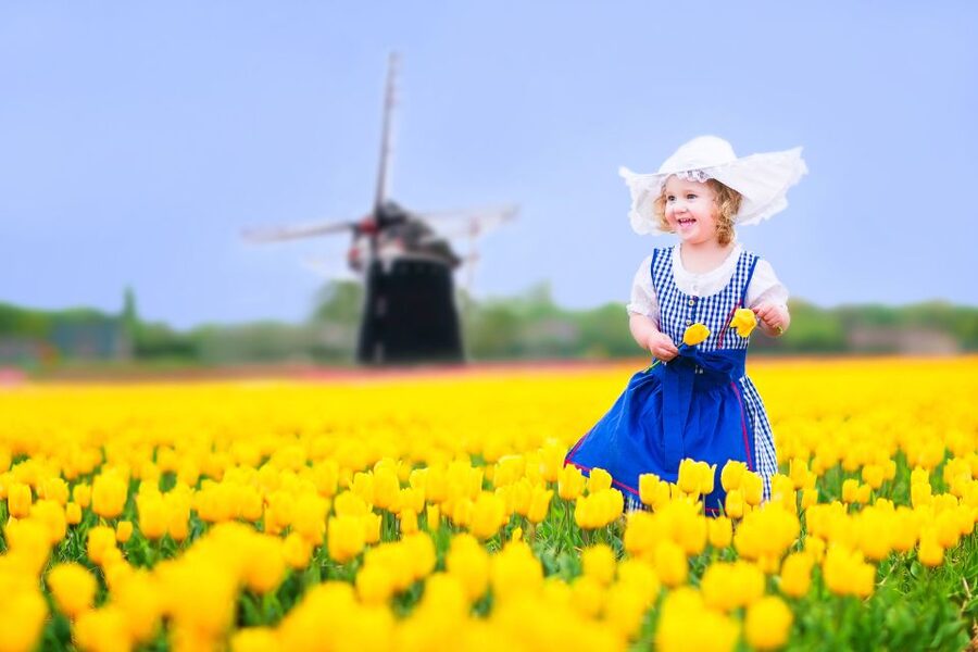 Magical Delft and the Keukenhof Estate: Tulips Galore - Key things to know before you go