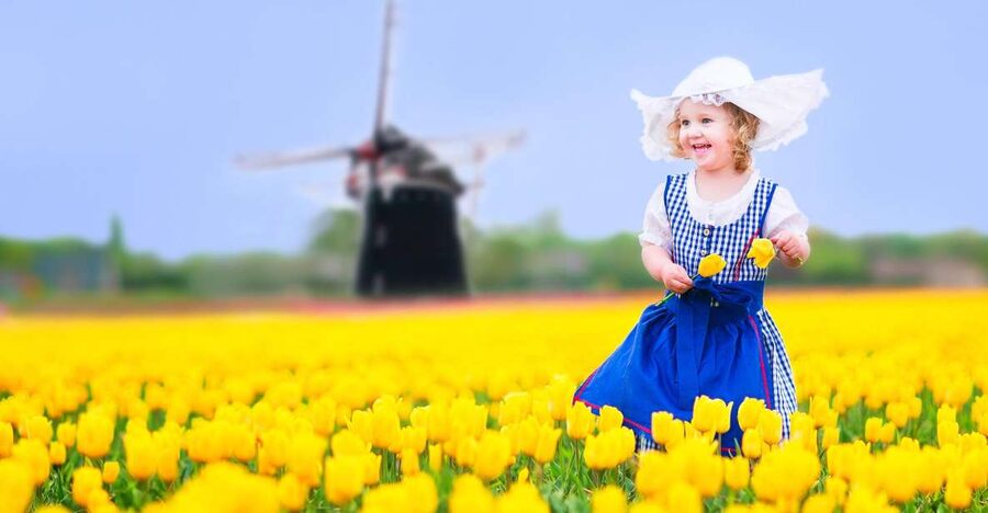 Magical Delft and the Keukenhof Estate: Tulips Galore - Delft plus Keukenhof, the day-trip combo that makes sense